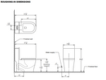 Siphonic Flush One-piece Toilet SK151