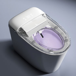SMART TOILET 604