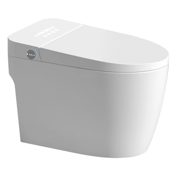 SMART TOILET 601
