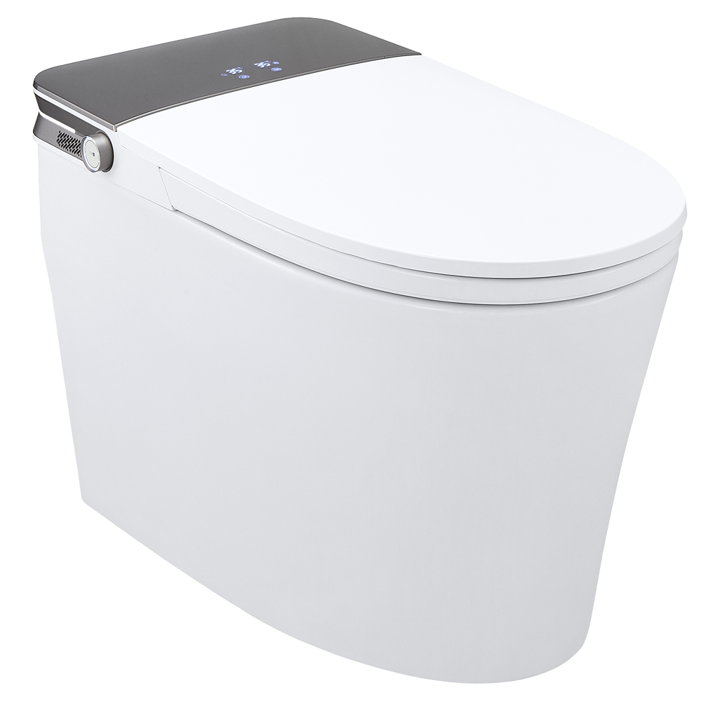 SMART TOILET 613