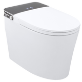 SMART TOILET 613
