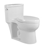 ONE-PIECE TOILET SK123