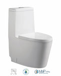 Dual Flush One-piece Toilet SK125