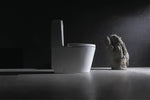 Dual Flush One-piece Toilet SK125