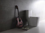 Dual Flush One-piece Toilet SK128