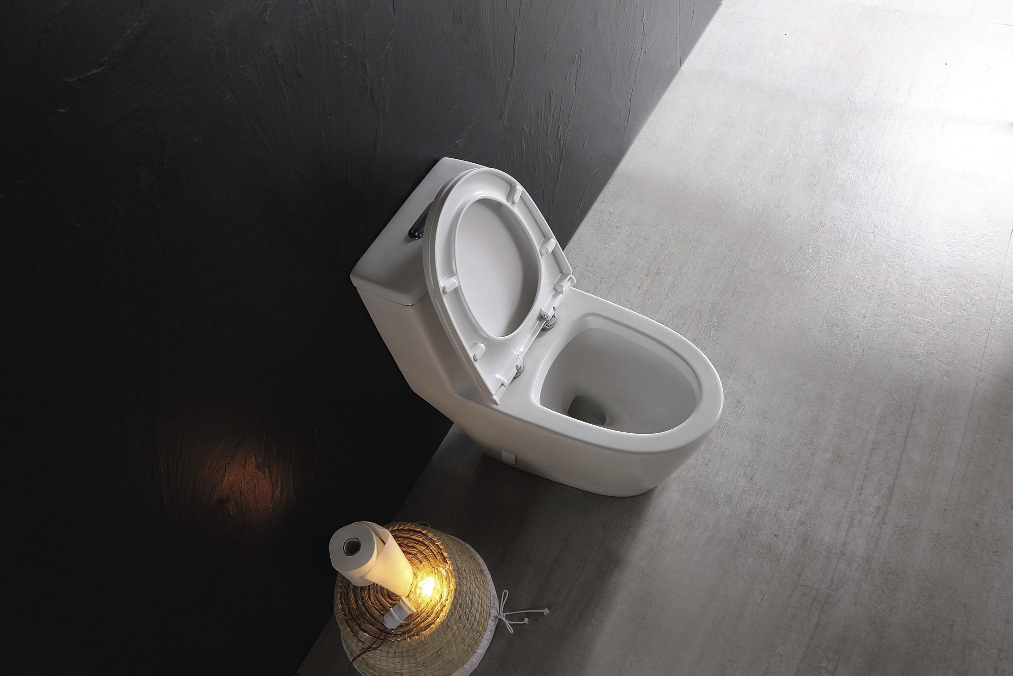 Dual Flush One-piece Toilet SK136