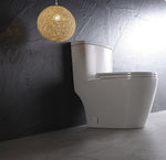 Dual Flush One-piece Toilet SK137