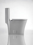 Siphonic Flush One-piece Toilet SK151