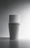 Siphonic Flush One-piece Toilet SK151