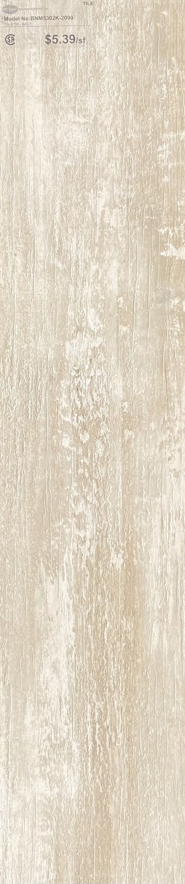 PORCELAIN TILE BNM5302K