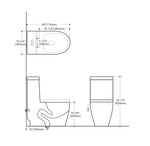 Dual Flush One-piece Toilet SK125