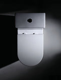 Dual Flush One-piece Toilet SK125