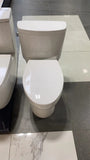 ONE-PIECE TOILET SK123